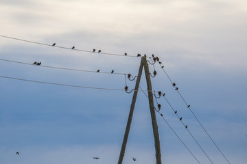 Single electricity pole with wires on the blue sky background. Industry of power.