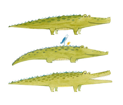 Watercolor crocodile set