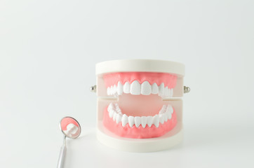 Close up of white teeth model with red gum and dental mirror on white background