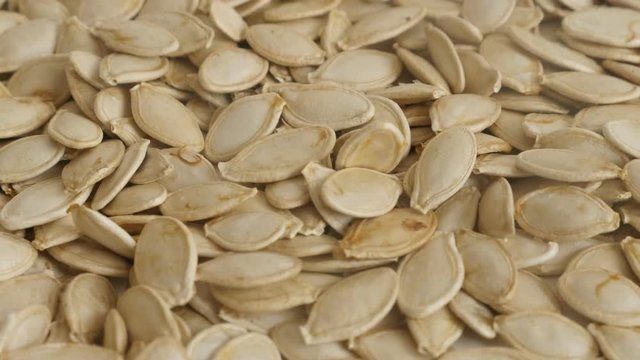 Close-up of healthy pumpkin seed tilting footage