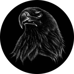 The Vector logo eagle for T-shirt design or outwear.  Hunting style eagle background.