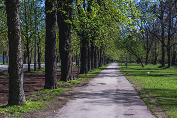 Fototapeta na wymiar Path in Wiener Prater park in Vienna city, capital of Austria
