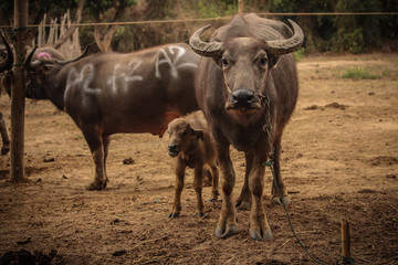Recognizable people or property?