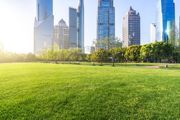 Fototapeta premium modern office building with green lawn in park