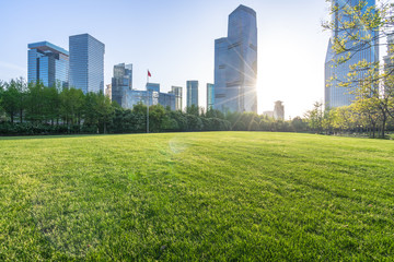 Fototapeta premium modern office building with green lawn in park