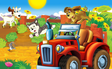 Cartoon farm scene with tractor in the vegetable garden - illustration for children