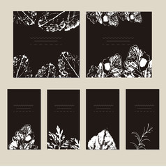 Vector template label with hand draw wild flowers and herbs.