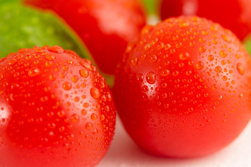 Fresh cherry tomatoes with basil