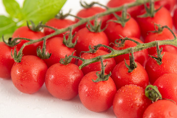 Fresh cherry tomatoes