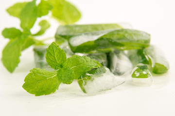 Refreshing ice cubes with mint