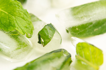 Refreshing ice cubes with mint