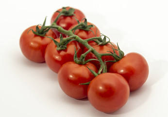 Tomato branch on white background