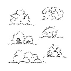 Set of hand drawn architect bushes, dendrology sketch collection