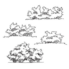 Set of hand drawn architect bushes