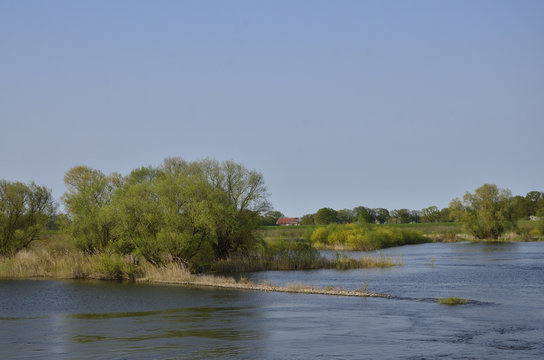 Flusslandschaft an der Unterelbe bei Bleckede
