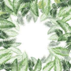 Fototapeta na wymiar tropical watercolor background, natural leaves, paportnik, dense jungle, palm leaves, liana, traditional chant, callas, lianas, on white background