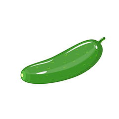 Cucumber icon. Flat illustration of cucumber vector isolated on white background