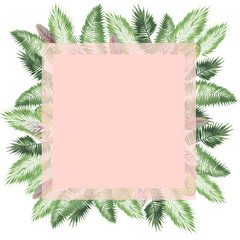 tropical watercolor background, natural leaves, paportnik, dense jungle, palm leaves, liana, traditional chant, callas, lianas, on white background