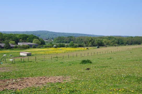 Rural landscape in Viarmes near Paris in France, Europe