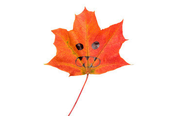 halloween maple leaf with eyes