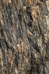 Abstract Texture of Stone
