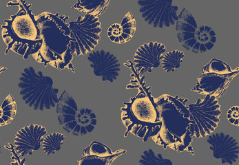 Pattern of seashells. Engraved style. Vector illustration