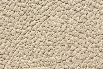 Light beige leather texture with relief surface.