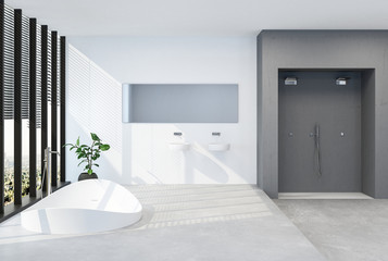 Modern luxury bathroom with sunken tub