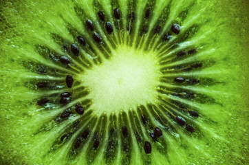 close up macro kiwi fruit
