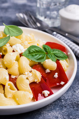 Traditional pasta with cottage cheese