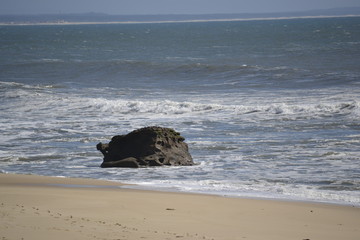 A rock on the beach
