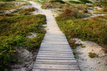 A wooden walkway that goes over the sand dunes partly covered with green bushes into the sea
