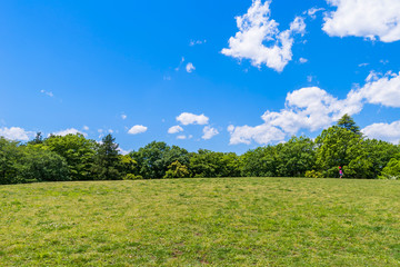 府中の森公園の芝生広場