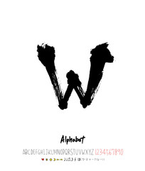 벡터 문자 / 손으로 쓴 글씨체