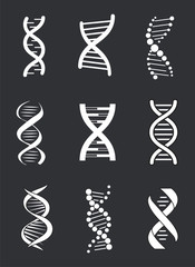 DNA Macromolecule Human Individual Genetic Code