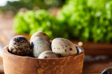 Preparation for making healthy salad with quail eggs, top view, close-up, selective focus