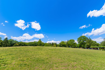 Obraz premium 府中の森公園の芝生広場