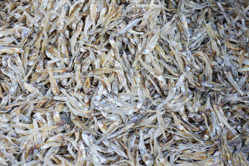 Stack of small dried fish from sea on fish market jetty. For seafood, food, kitchen, texture and background.