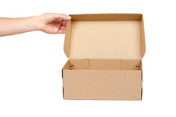 Brown cardboard box for packaging and delivery, isolated on white background