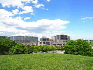 Obraz premium マンションが建ち並ぶ住宅街