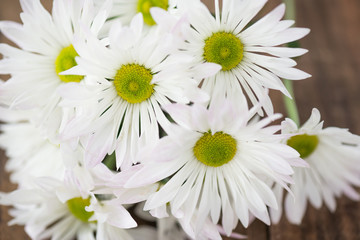 Obraz premium soft light White chrysanthemum on wood.