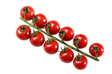 cherry tomatoes isolated on white background. two branches