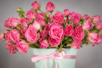 small Bush pink roses in a mint-colored pot on a gray background