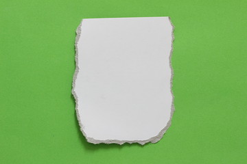 ripped note paper green background