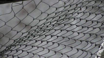 Rain drops on chain link fence at storm rain - Powered by Adobe
