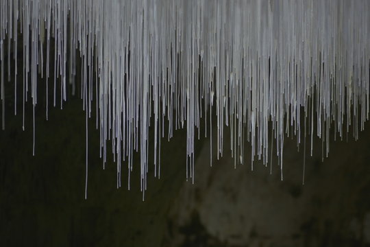 Grotte de Choranche, stalactites fistuleuses