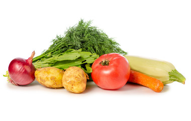Dill green ssorrel on white background isolation