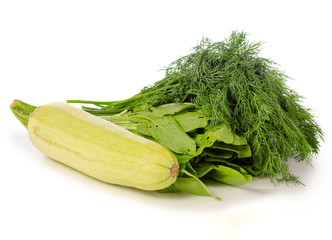 Dill green ssorrel on white background isolation