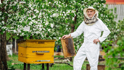 Beekeeper is working with bees and beehives on the apiary.