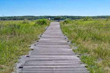 Obraz premium Wood walkway at Sandy Point Stockton Springs Maine in the summertime.